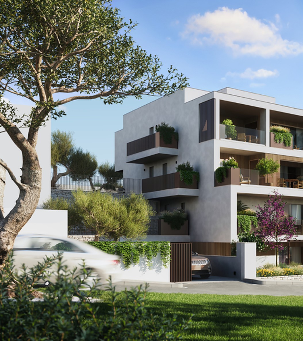 Render del complesso residenziale visto attraverso un ulivo secolare
